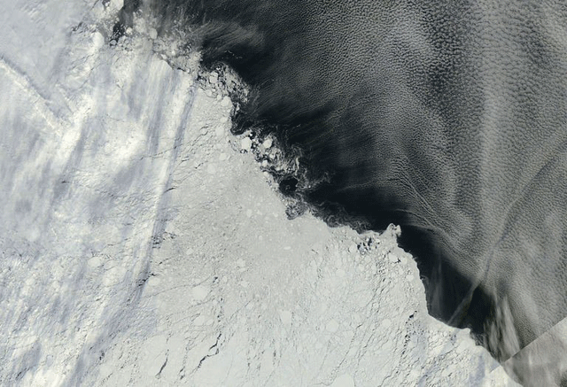 Arctic ice melt slows down: NASA 