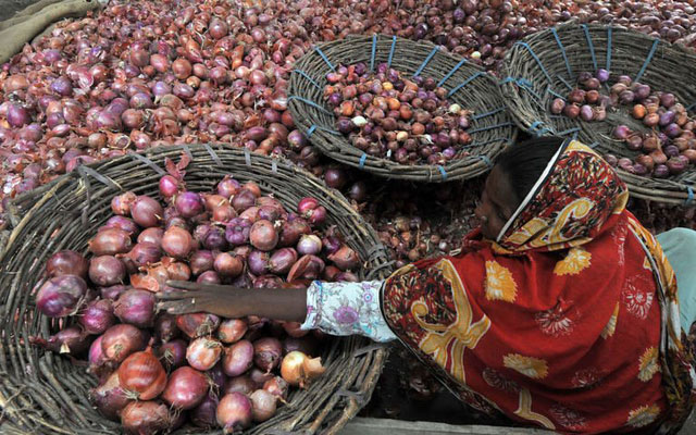 onions-for-sale